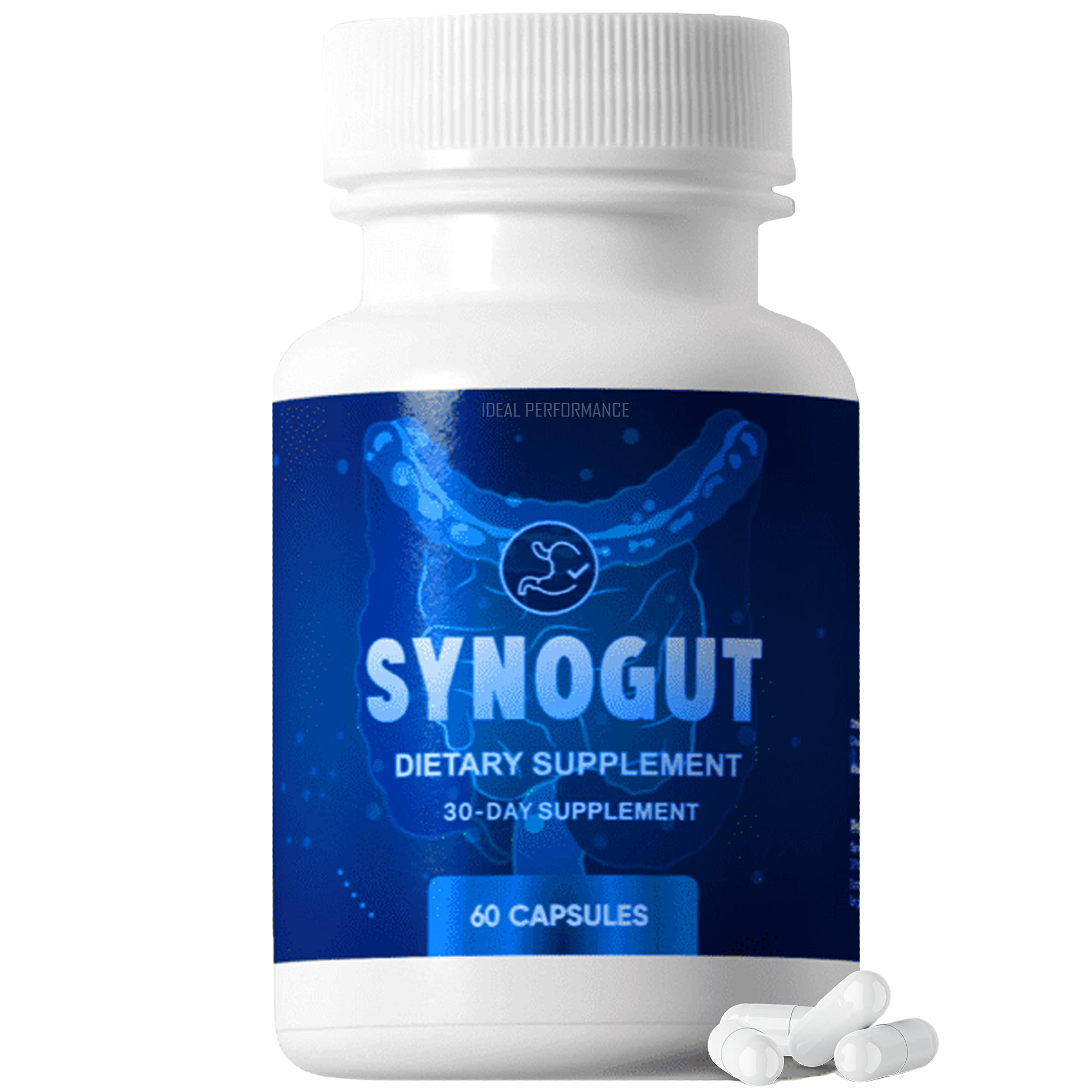 Synogut